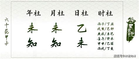 乙未日柱|乙未丨宝藏干支，但命不由己！